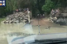 澳大利亚一对夫妇驾车过桥 遭遇数条“拦路鳄”图片