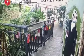 22天无踪迹！广州男子“穷游”至四川绵阳后失联图片