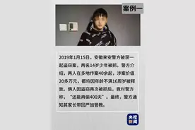 “收容教养”概念不再使用 犯罪未成年人如何进行“专门教育”？图片