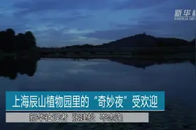 上海辰山植物园里的“奇妙夜”受欢迎视频封面