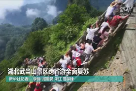 湖北武当山景区跨省游全面复苏视频封面