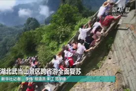 湖北武当山景区跨省游全面复苏视频封面