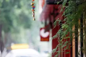 图说生活丨挽着你的衣袖 走在玉林路的尽头图片