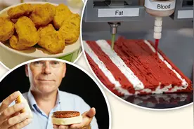 植物蛋白肉、试管培育肉、3D打印肉……“未来肉类”悄然走向人们的餐桌图片