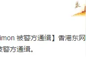 港媒：身处海外的黎智英左右手Mark Simon被警方通缉图片