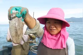 “村播”天然去雕饰 抖音短视频平台赋能乡村振兴图片