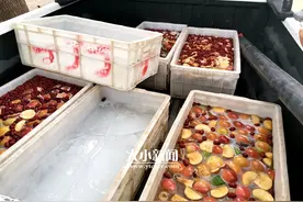 消暑降温，南山公园动物园动物吃上大冰棒图片