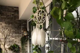 好物｜阳台空间别浪费，这样装扮有诗意图片