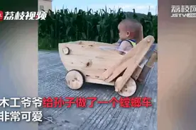 拉风！木工爷爷为孙子做螳螂车，隔壁小孩都羡慕哭了图片