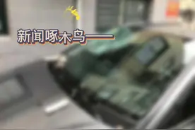 新闻啄木鸟｜外墙瓷砖脱落，砸中车辆图片