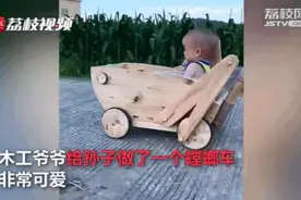 拉风！木工爷爷为孙子做螳螂车，隔壁小孩都羡慕哭了图片