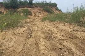 洗沙场一晚上能赚两万！惊人利润催生疯狂盗采，“坑”了河道农田图片