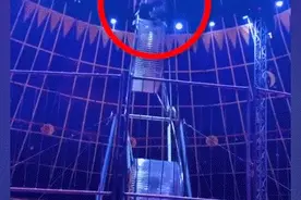 杂技演员从8米高飞轮坠落身亡 家属：现场无安全措施图片