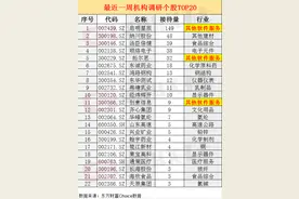 软件服务行业备受机构关注 启明星辰获149家机构调研图片