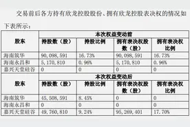 欣龙控股“内斗”公开化！控股股东天堂硅谷遭“逼宫”，原大股东拟提前解除表决权委托图片