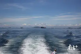 62亿元！广业集团拍下外伶仃东海域釆矿权图片