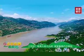 小山村搭上电商直播快车 苏宁易购带动脐橙产业发展图片