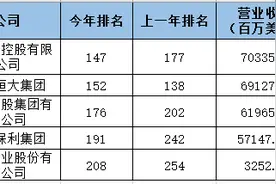 5家房企入围《财富》世界500强 碧桂园跃升全球房企排名第一图片