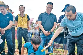 儋州大成镇组织农户学习黄皮种植技术 打造黄皮美食和旅游文化名片图片