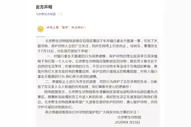 游客强行拿走天鹅蛋，北京野生动物园发布官方声明图片