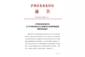 暂定为期10年！8月10日起四川泸州4处河流常年禁捕图片