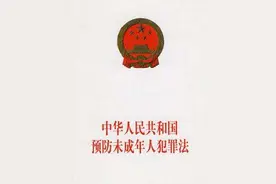 对熊孩子拟不再用“收容教养”，未成年人触犯刑法如何专门教育？图片