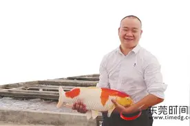 走向我们的小康生活｜何洪桂：奋力追逐锦鲤梦，风雨之后见彩虹图片