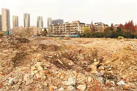 老杭锅厂旁脏乱差的空地变了 草地上波斯菊盛开图片