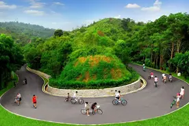 沿途都是风景！惠州10条最美跑步线路出炉，你最爱哪条？图片