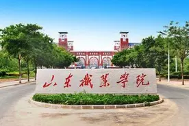 今年山东职业学院计划招生3767人，六专业有选考科目要求图片