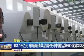 181.16亿元，东顺顺清柔品牌位列中国品牌500强第328名图片