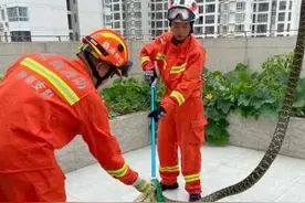 天！胖蛇“卡”在贵州一居民家的洗衣机里图片