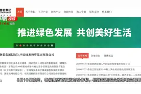 「视频」确定！国家电网退出房地产业务，鲁能业主怎么办？图片