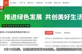 「视频」确定！国家电网退出房地产业务，鲁能业主怎么办？图片