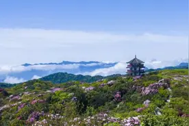 四季皆宜的康养胜地，置业南川正当时图片