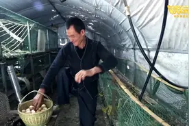 你笑起来真好看｜“山鸡哥”单腿“蹦”出致富路视频封面