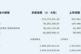博鳌超级医院背后的A股药企：上半年营收同比减少43.4%图片