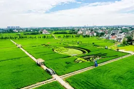 美丽乡村示范村丨金山油车村：石磨转动乡土文化，瓜果菜花满村飘香图片