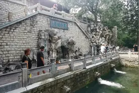 泉水浴场和黑虎泉取水点重新开放！济南消夏有了好去处图片