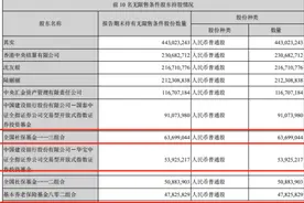 东方财富半年业绩翻倍！证券业务与基金销售占总收入96%，社保基金三组合新进前十大股东图片