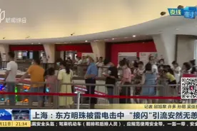 上海：东方明珠被雷电击中  “接闪”引流安然无恙视频封面