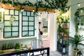 美食美物美家装 可以呆上一整天图片