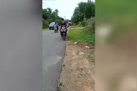 印尼一条半吨重鳄鱼被杀死后斩首 当地人动用推土机才搬的动它图片