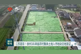 江苏首宗！徐州18.88亩农村集体土地入市地块交地发证视频封面