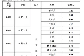 合肥市2020年各高中学校录取分数线图片