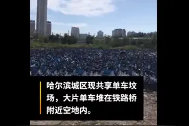 哈尔滨市区现共享单车坟场，城管称违规占道被运过来，单车客服回应图片