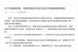 重要通知！确有困难、急需回国的公民注意！中国驻尼日利亚大使馆将调查摸底，需提供这些证明文件图片