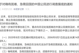 重要通知！确有困难、急需回国的公民注意！中国驻尼日利亚大使馆将调查摸底，需提供这些证明文件图片