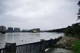 直击成都金堂：沿江有小区三层车库泡水 预计今天仍有大到暴雨图片