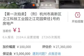 杭州最老牌的别墅、2687万的江景大平层，全部1元起拍，背后主人是谁图片